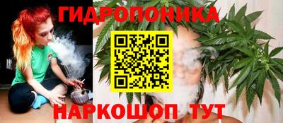 молекула духа Гусь-Хрустальный